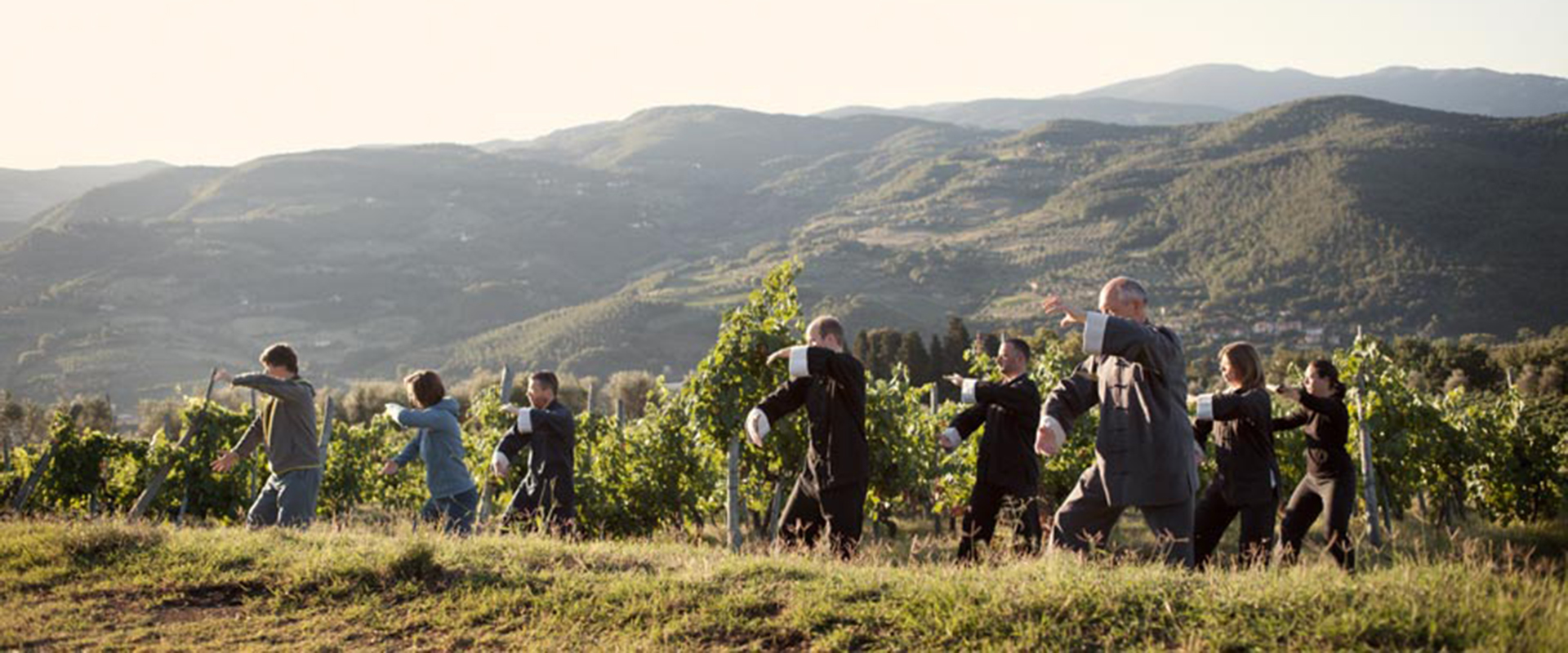 Gruppe beim Tai Chi Üben in der Toscana, Ferienkurs Gruppe beim Tai Chi Üben in der Toscana, Ferienkurs