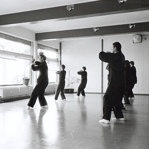 Tai Chi Unterricht Tai Chi Unterricht