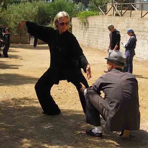 Test einer Tai Chi Position Test einer Tai Chi Position