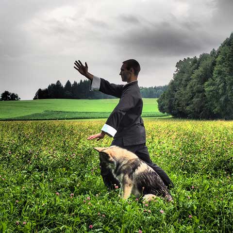 Nikolai Sämmer beim Qi Gong üben Nikolai Sämmer beim Qi Gong üben