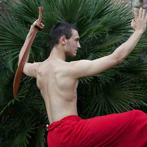 Nikolai Sämmer bei der Tai Chi Säbel Form Nikolai Sämmer bei der Tai Chi Säbel Form