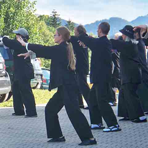 Gruppe beim Üben von Tai Chi Push hands Gruppe beim Üben von Tai Chi Push hands