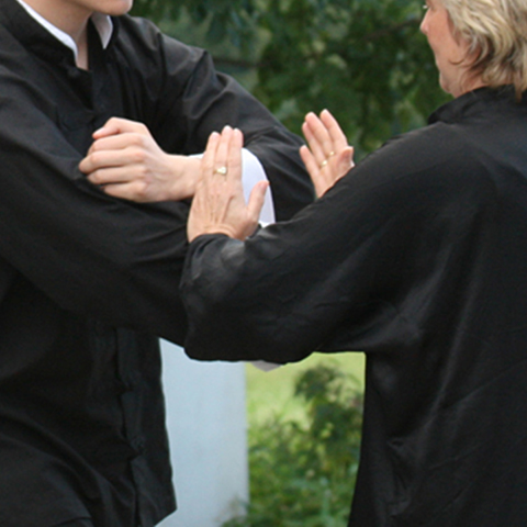 Tai Chi Schüler beim Üben von Push Hands, Ta Lü - Foto: Ralf Eiser Tai Chi Schüler beim Üben von Push Hands, Ta Lü - Foto: Ralf Eiser