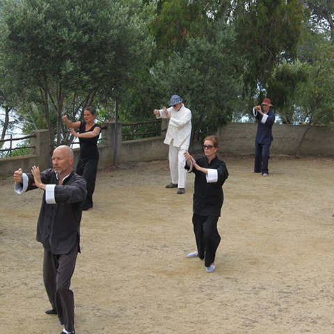 Tai Chi Schüler bei der Handform Tai Chi Schüler bei der Handform