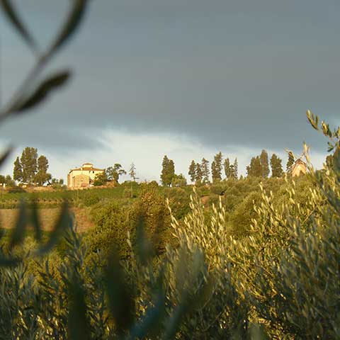 Toscana Lansdchaft Tai Chi Ferienkurs Toscana Lansdchaft Tai Chi Ferienkurs