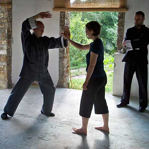 Tosvana Test einer Tai Chi Position Tosvana Test einer Tai Chi Position