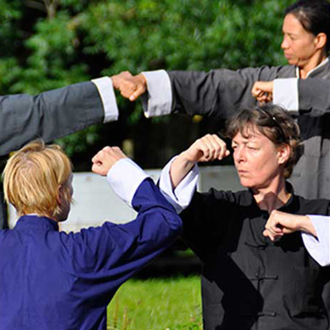 Tai Chi Schüler bei Handfighting Form - Foto: Christine Rühmer Tai Chi Schüler bei Handfighting Form - Foto: Christine Rühmer