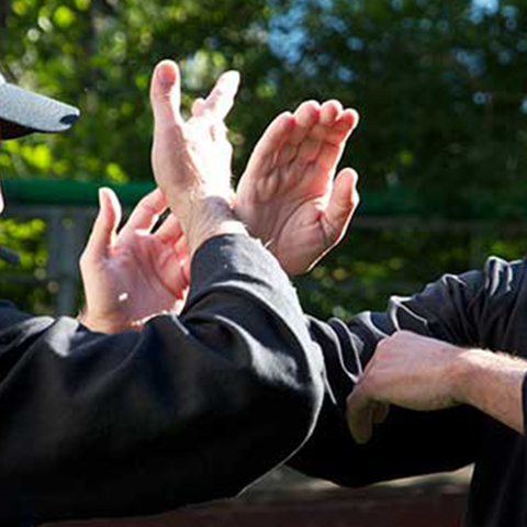 Tai Chi Schüler bei Push Hands - Foto: Ralf Eiser Tai Chi Schüler bei Push Hands - Foto: Ralf Eiser